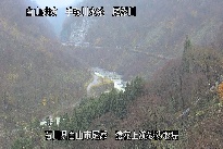 猿花 のカメラ画像