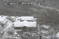 別当出合 のカメラ画像