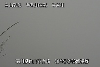 別当谷 のカメラ画像