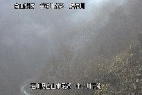 中ノ川下流 のカメラ画像