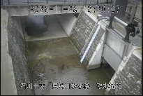 取水樋門 のカメラ画像