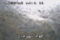 明島 のカメラ画像