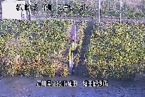 埴田 のカメラ画像