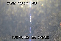 猿花 のカメラ画像