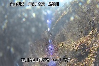 中ノ川下流 のカメラ画像