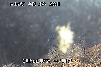 中ノ川中流 のカメラ画像