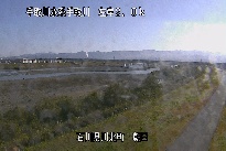 左岸朝日 のカメラ画像