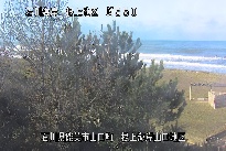 根上海岸 のカメラ画像