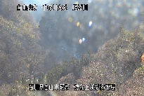 猿花 のカメラ画像