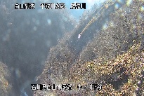 中ノ川下流 のカメラ画像