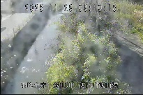 飯山川飯山橋 のカメラ画像