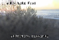根上海岸 のカメラ画像