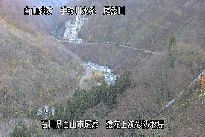 猿花 のカメラ画像