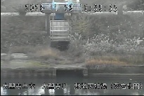 敷地天神橋(愛宕水門) のカメラ画像
