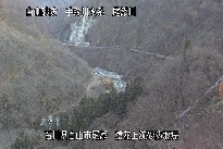 猿花 のカメラ画像