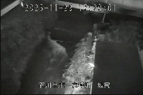 坂尻 のカメラ画像