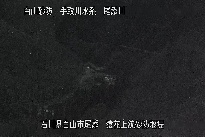 猿花 のカメラ画像