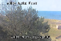 根上海岸 のカメラ画像