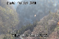 猿花 のカメラ画像