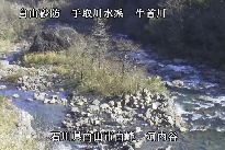 河内谷 のカメラ画像