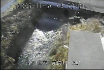 坂尻 のカメラ画像