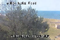 根上海岸 のカメラ画像