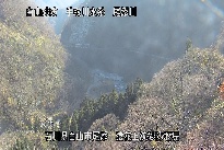 猿花 のカメラ画像