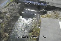 坂尻 のカメラ画像