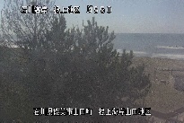 根上海岸 のカメラ画像