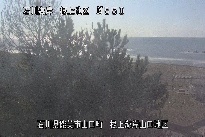 根上海岸 のカメラ画像