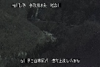 猿花 のカメラ画像