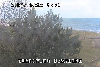 根上海岸 のカメラ画像