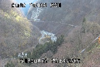 猿花 のカメラ画像