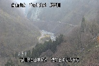 猿花 のカメラ画像