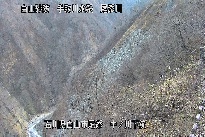 中ノ川下流 のカメラ画像