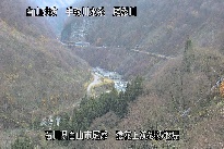 猿花 のカメラ画像