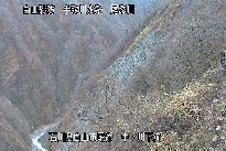 中ノ川下流 のカメラ画像