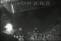 笹川橋 のカメラ画像