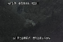 猿花 のカメラ画像