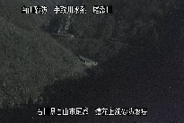 猿花 のカメラ画像