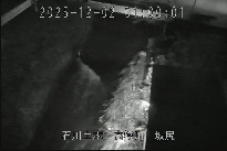 坂尻 のカメラ画像