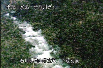 東二口 のカメラ画像