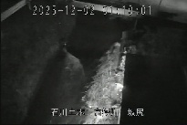 坂尻 のカメラ画像