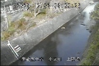 上野橋 のカメラ画像