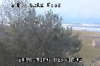 根上海岸 のカメラ画像