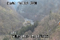 猿花 のカメラ画像