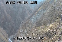 中ノ川下流 のカメラ画像