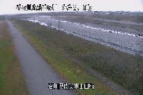 山田 のカメラ画像