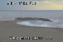 松任CCZ のカメラ画像