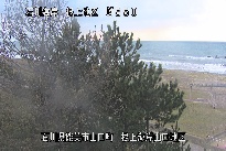 根上海岸 のカメラ画像